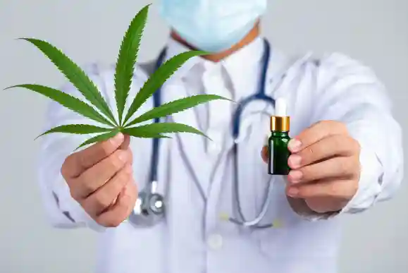 medical marijuana physician